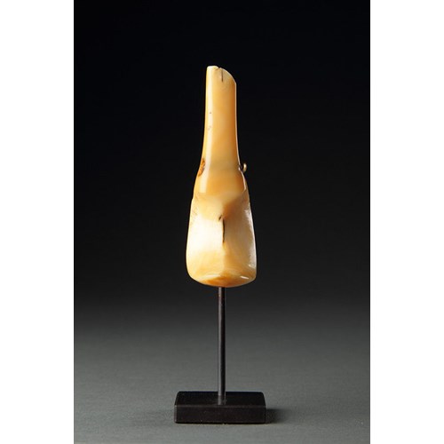 Hawaiian Islands Hook Shaped Sperm Whale Tooth Pendant